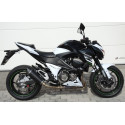 Sturzsliders SLD Kawasaki Z 800 / E