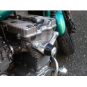 Engine crash protectors RDMOTO PM3