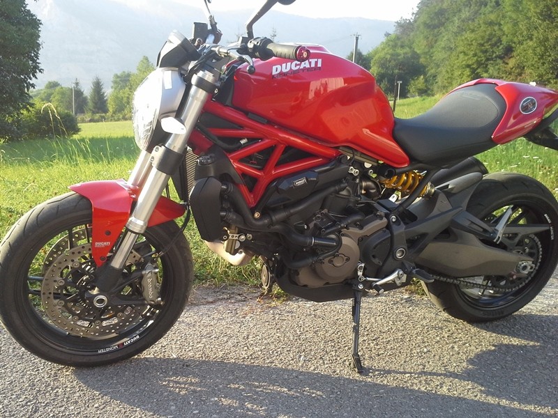 Ducati monster sale 821 crash protection