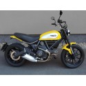 Tamponi paratelaio PH01 Ducati Scrambler