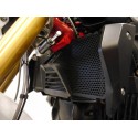 Evotech Radiator Guard