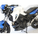 Sturzsliders SLD BMW F 800R