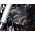 Stainless Steel Radiator Guard R&G Racing