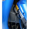 Stainless Steel Radiator Guard R&G Racing