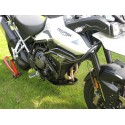 Crash frames Triumph Tiger 900 - upper + lower